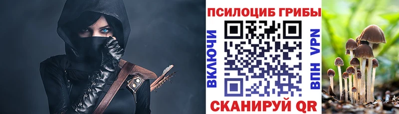 Псилоцибиновые грибы прущие грибы  как найти наркотики  Ветлуга 