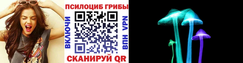Галлюциногенные грибы Psilocybine cubensis Ветлуга
